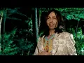 Babasonicos - Carismático
