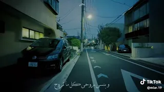 مشيني حدك مشيني   فضل شاكر    دندنها