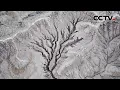 CCTV