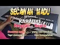 Download Lagu Secawan madu Karaoke tanpa vokal ( REGGAE KOPLO)