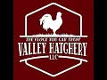 Chicken Supports Insights - Episode 48: What Nobody Warned Me About My First Flock (Special Episo...