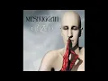 Meshuggah - Bleed (FULL SONG & Best Quality With Lyrics in Description!)