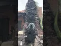 Melted chimney at BeDillion s Restaurant Casa Grande