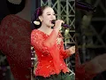 Download Lagu Niken Salindri|Sumpah iki kangen|kangen mantan|aneka safari #nikensalindri #shorts#trendingshorts