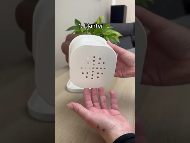 DOG HOUSE PLANTER & PEN HOLDER video thumbnail