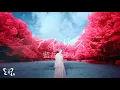 Download Lagu Eir Aoi「Iris (アイリス)」Music Video (Sword Art Onlline Alicization)