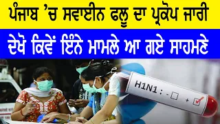 ਪੰਜਾਬ 'ਚ ਸਵਾਈਨ ਫਲੂ ਨੇ ਮਚਾਈ ਤਬਾਹੀ,ਸਾਹਮਣੇ ਆਏ ਮਾਮਲਿਆਂ ਨੇ ਵਧਾਈ ਸਭ ਦੀ ਚਿੰਤਾ || Dateline Tv ||