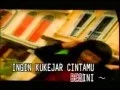 Download Lagu Ria Irawan   Hatiku Bagai Tertusuk Duri