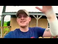 Upchurch s Car Truck Collection part 1