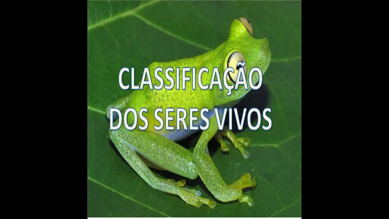 classificação e organização dos seres vivos