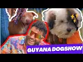 Download Lagu Guyana's 2024 Dog Show!