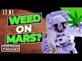 Download Lagu Is cannabis het eerste gewas voor Mars? | Van handel naar zwart