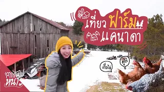 [EP. 8] ลากไปเที่ยวฟาร์มแคนาดา น้องไก่ชีวิตพรีเมี่ยม ไข่หลากสี ครบ!!