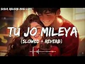 Tu Jo Mileya [Slowed + Reverb] Lofi | Juss x MixSingh | New Punjabi Song | Sona Mahi Nazron Bachaye
