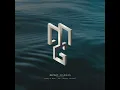 Madman (Birds of Mind Remix)