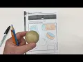 Curved and Flat Faces p16