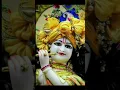 Download Lagu chahe vrindavan hamse dur h #song 🦚🧡♥️☺️⭐❤️🌟