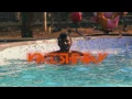 Realistic Rain Drop FX 100 After Effects After Effect Brilliant Work