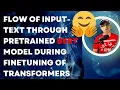 Flow of raw input-text through pretrained BERT Model during FineTuning of Transformers