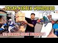 Download Lagu BERBURU MERPATI GIRINGAN DIPASAR KERTEK WONOSOBO TES TERBANG COCOK BUNGKUS PART 2