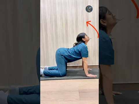 Back Pain Exercises || Stiffness || #shortsfeed #doctor #sciatica #backpain #exerexerc #viral #reels
