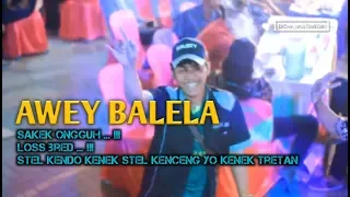 Download STEL KENDO KENEK, STEL KENCENG YO KENEK TRETAN | OM ANGKASA | LIVE KERTOSONO MP3