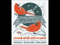 15. Sixteen, Maybe Less - Calexico, Iron & Wine (live on Holiday Cheer for FUV 2013)