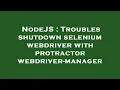 NodeJS Troubles shutdown selenium webdriver with protractor webdriver-manager