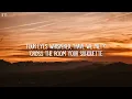 Taylor Swift - Enchanted (Lyrics)
