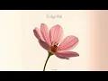 Download Lagu SKETCHH - Aayi Nahi (Official Audio) 