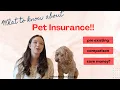 Is pet insurance worth it What It Covers Best Companies Compared