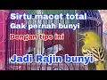 Download Lagu Cara mengatasi burung sirtu macet total,, gak pernah bunyi jadi rajin bunyi