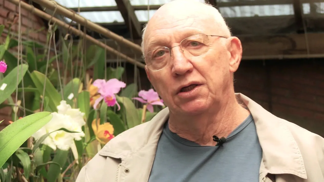 WEB VIDEO ORQUIDARIO EPIPHANIO COMO EVITAR AS PRAGAS EM ORQUÍDEAS