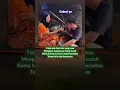 Download Lagu IKLASMU BAHAGIAKU