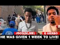 Download Lagu NLMB JDog was given ONLY 1 week to live /Then got SH0T 6X for Telling GHerbo Can’t Come Back 2daHood