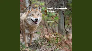 غنمي صبحت غنيمة 