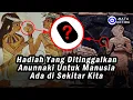 Lagu Hadiah yang Ditinggalkan Anunnaki untuk Manusia Ada di Sekitar Kita