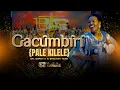 Download Lagu GACUMBIRI {Pale Kilele} - Dr Sarah K \u0026 Shachah Team {LIVE VIDEO}