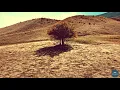 Download Lagu Efkan Şeşen - Peyva Paşîn | Official Music Video © 2021 Sesen Muziek