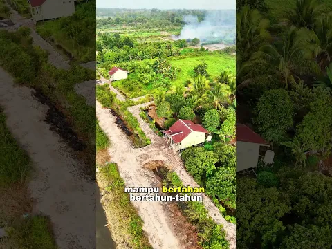 Dikasih Lahan Begini, Mampu Bertahan Berapa Lama?