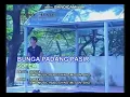 Download Lagu Bunga Padang Pasir - Sofea (Karaoke HD)