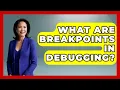 What Are Breakpoints In Debugging - Learn To Troubleshoot