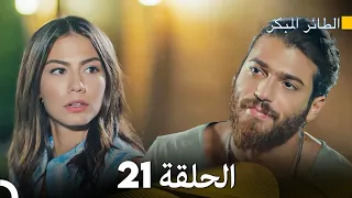 مسلسل الطائر المبكر الحلقة 21 Arabic Dubbed FULL HD 