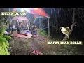 Download Lagu Camping Bareng Teman 🌧️ Hujan Deras \u0026 Dapet Ikan Spesial buat Makan Malam