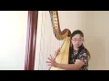 A. Lara/C. Salzedo Concert Fantasy on Lara's "Granada"