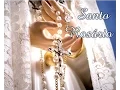 Download Lagu SANTO ROSÁRIO completo - Mistérios Gozosos, Luminosos, Dolorosos e Gloriosos
