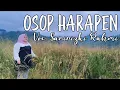 Download Lagu Lagu Gayo terbaru 2025 _OSOP HARAPEN_ Saririzki rahmi