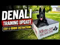 German Shepherd Puppy Training Denali Holds Commands Around Distractions