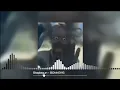 Staplegun - BONKERS
