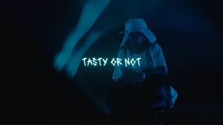 the weeknd playboi carti timeless tasty or not remix afro house 